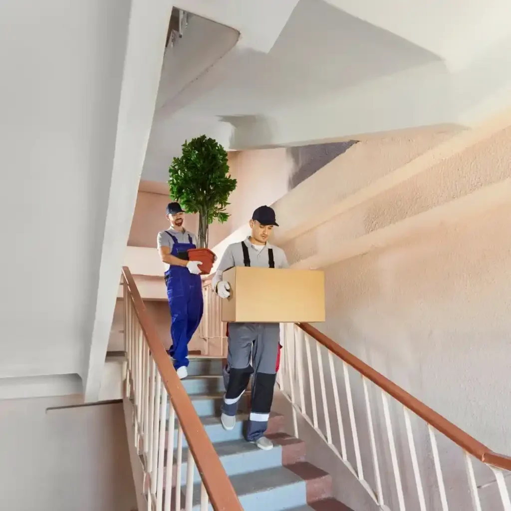 Affordable movers Whangarei