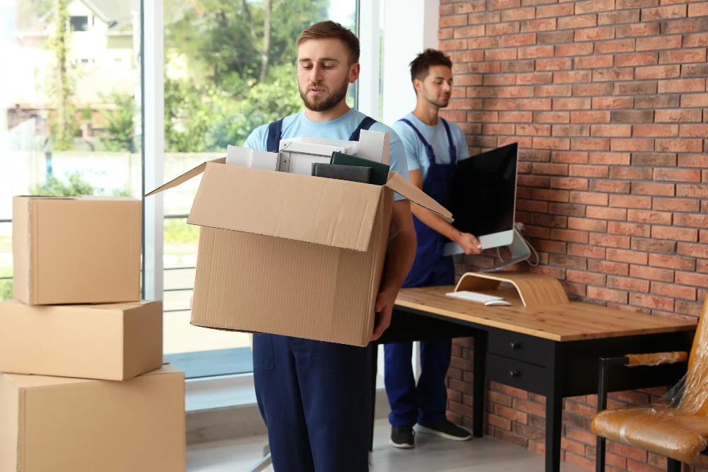 business moving companies whangarei
