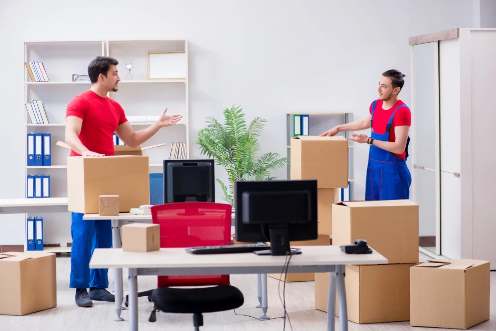 office movers Whangarei