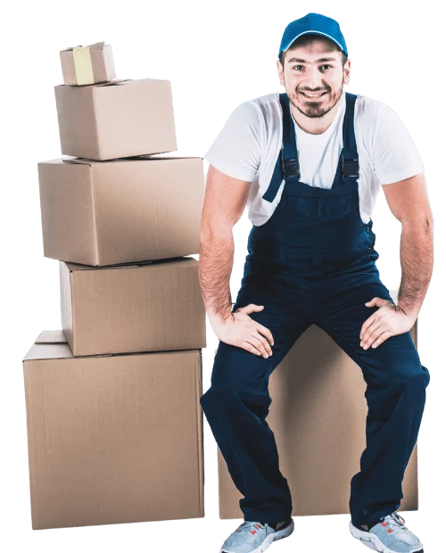 whangarei long distance relocation company